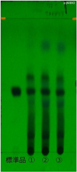http://mpdb.nibiohn.go.jp/CONTENTS_ROOT/JP_IDENTIFICATION_PHOTO_DATA/JP_IDENTIFICATION_PHOTO_FILE/thumbnail/145.jpg