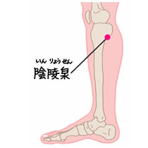 陰陵泉