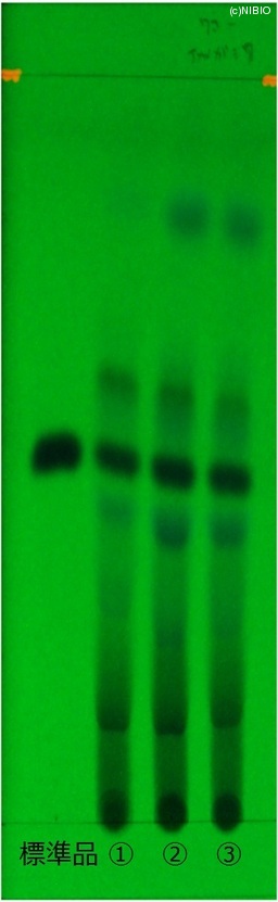 http://mpdb.nibiohn.go.jp/CONTENTS_ROOT/JP_IDENTIFICATION_PHOTO_DATA/JP_IDENTIFICATION_PHOTO_FILE/thumbnail/146.jpg