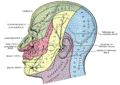 https://upload.wikimedia.org/wikipedia/commons/thumb/2/20/Gray784.png/120px-Gray784.png