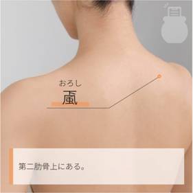 颪 おろし｜ツボの場所と効果｜ツボネット 鍼灸の症例が検索できるツボ辞典