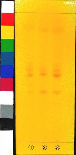 http://mpdb.nibiohn.go.jp/CONTENTS_ROOT/PLANT_PHOTO_DATA/PHOTO_FILE/thumbnail/927.jpg