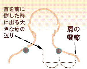 width=