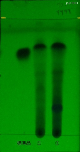 http://mpdb.nibiohn.go.jp/CONTENTS_ROOT/JP_IDENTIFICATION_PHOTO_DATA/JP_IDENTIFICATION_PHOTO_FILE/thumbnail/195.jpg