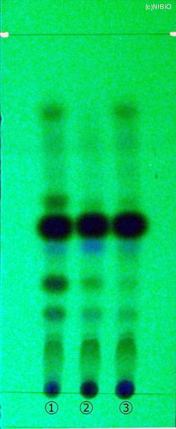 http://mpdb.nibiohn.go.jp/CONTENTS_ROOT/JP_IDENTIFICATION_PHOTO_DATA/JP_IDENTIFICATION_PHOTO_FILE/thumbnail/94.jpg