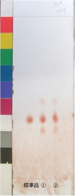 http://mpdb.nibiohn.go.jp/CONTENTS_ROOT/JP_IDENTIFICATION_PHOTO_DATA/JP_IDENTIFICATION_PHOTO_FILE/thumbnail/1008.jpg