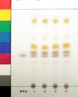 http://mpdb.nibiohn.go.jp/CONTENTS_ROOT/JP_IDENTIFICATION_PHOTO_DATA/JP_IDENTIFICATION_PHOTO_FILE/thumbnail/1033.jpg