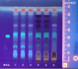 http://mpdb.nibiohn.go.jp/CONTENTS_ROOT/JP_IDENTIFICATION_PHOTO_DATA/JP_IDENTIFICATION_PHOTO_FILE/thumbnail/845.jpg