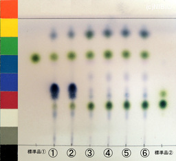 http://mpdb.nibiohn.go.jp/CONTENTS_ROOT/JP_IDENTIFICATION_PHOTO_DATA/JP_IDENTIFICATION_PHOTO_FILE/thumbnail/1337.jpg
