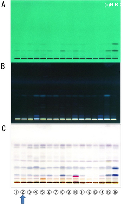 http://mpdb.nibiohn.go.jp/CONTENTS_ROOT/TLC_DATA/TLC_FIG_FILE/thumbnail/738.jpg