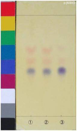 http://mpdb.nibiohn.go.jp/CONTENTS_ROOT/JP_IDENTIFICATION_PHOTO_DATA/JP_IDENTIFICATION_PHOTO_FILE/thumbnail/1171.jpg