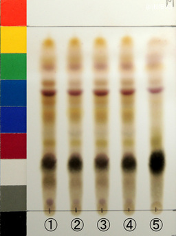 http://mpdb.nibiohn.go.jp/CONTENTS_ROOT/JP_IDENTIFICATION_PHOTO_DATA/JP_IDENTIFICATION_PHOTO_FILE/thumbnail/1305.jpg