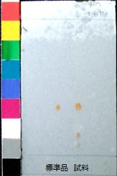 http://mpdb.nibiohn.go.jp/CONTENTS_ROOT/JP_IDENTIFICATION_PHOTO_DATA/JP_IDENTIFICATION_PHOTO_FILE/thumbnail/253.jpg