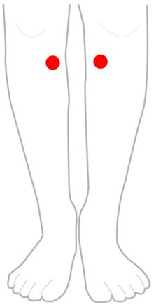 https://www.tsubomaster.com/drawable/tsubo_145.gif