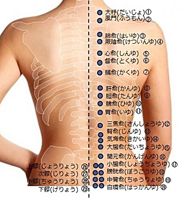 背中のツボ図解一覧