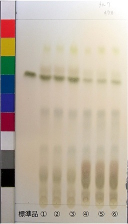 http://mpdb.nibiohn.go.jp/CONTENTS_ROOT/JP_IDENTIFICATION_PHOTO_DATA/JP_IDENTIFICATION_PHOTO_FILE/thumbnail/170.jpg