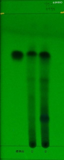 http://mpdb.nibiohn.go.jp/CONTENTS_ROOT/JP_IDENTIFICATION_PHOTO_DATA/JP_IDENTIFICATION_PHOTO_FILE/thumbnail/196.jpg
