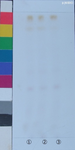 http://mpdb.nibiohn.go.jp/CONTENTS_ROOT/JP_IDENTIFICATION_PHOTO_DATA/JP_IDENTIFICATION_PHOTO_FILE/thumbnail/220.jpg