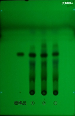 http://mpdb.nibiohn.go.jp/CONTENTS_ROOT/JP_IDENTIFICATION_PHOTO_DATA/JP_IDENTIFICATION_PHOTO_FILE/thumbnail/347.jpg