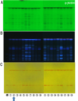 http://mpdb.nibiohn.go.jp/CONTENTS_ROOT/TLC_DATA/TLC_FIG_FILE/thumbnail/781.jpg