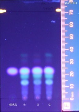 http://mpdb.nibiohn.go.jp/CONTENTS_ROOT/JP_IDENTIFICATION_PHOTO_DATA/JP_IDENTIFICATION_PHOTO_FILE/thumbnail/79.jpg