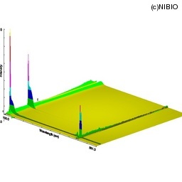 http://mpdb.nibiohn.go.jp/CONTENTS_ROOT/LCGC_DATA/THREE_D_IMAGE_FILE/thumbnail/1600.jpg