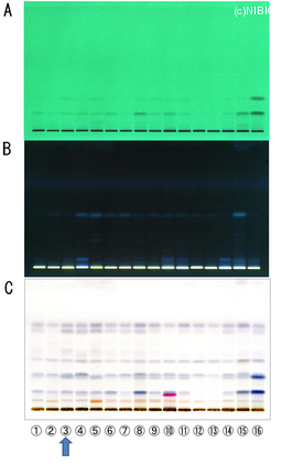 http://mpdb.nibiohn.go.jp/CONTENTS_ROOT/TLC_DATA/TLC_FIG_FILE/thumbnail/739.jpg
