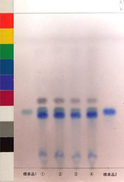 http://mpdb.nibiohn.go.jp/CONTENTS_ROOT/JP_IDENTIFICATION_PHOTO_DATA/JP_IDENTIFICATION_PHOTO_FILE/thumbnail/992.jpg