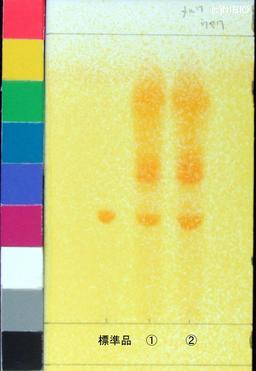 http://mpdb.nibiohn.go.jp/CONTENTS_ROOT/PLANT_PHOTO_DATA/PHOTO_FILE/thumbnail/928.jpg