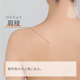 肩稜 けんりょう｜ツボの場所と効果｜ツボネット 鍼灸の症例が検索できるツボ辞典