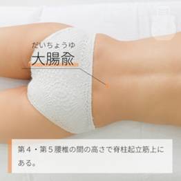 大腸兪 だいちょうゆ｜ツボの場所と効果｜ツボネット 鍼灸の症例が検索できるツボ辞典