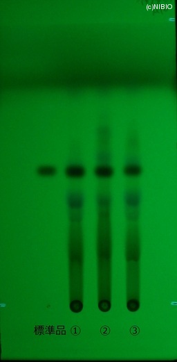 http://mpdb.nibiohn.go.jp/CONTENTS_ROOT/JP_IDENTIFICATION_PHOTO_DATA/JP_IDENTIFICATION_PHOTO_FILE/thumbnail/348.jpg