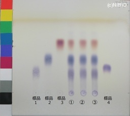 http://mpdb.nibiohn.go.jp/CONTENTS_ROOT/JP_IDENTIFICATION_PHOTO_DATA/JP_IDENTIFICATION_PHOTO_FILE/thumbnail/339.jpg