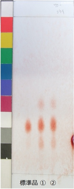 http://mpdb.nibiohn.go.jp/CONTENTS_ROOT/JP_IDENTIFICATION_PHOTO_DATA/JP_IDENTIFICATION_PHOTO_FILE/thumbnail/1010.jpg