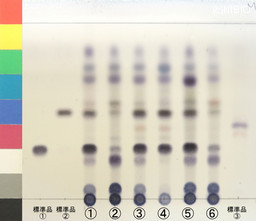 http://mpdb.nibiohn.go.jp/CONTENTS_ROOT/JP_IDENTIFICATION_PHOTO_DATA/JP_IDENTIFICATION_PHOTO_FILE/thumbnail/1348.jpg