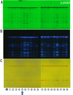 http://mpdb.nibiohn.go.jp/CONTENTS_ROOT/TLC_DATA/TLC_FIG_FILE/thumbnail/784.jpg