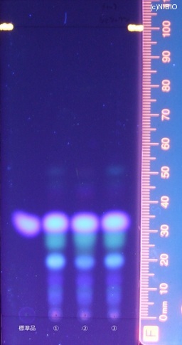 http://mpdb.nibiohn.go.jp/CONTENTS_ROOT/JP_IDENTIFICATION_PHOTO_DATA/JP_IDENTIFICATION_PHOTO_FILE/thumbnail/80.jpg