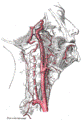 https://upload.wikimedia.org/wikipedia/commons/thumb/9/9c/Gray513.png/83px-Gray513.png