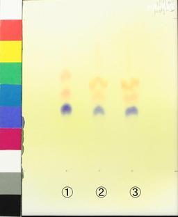 http://mpdb.nibiohn.go.jp/CONTENTS_ROOT/JP_IDENTIFICATION_PHOTO_DATA/JP_IDENTIFICATION_PHOTO_FILE/thumbnail/1173.jpg