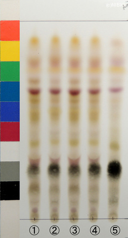 http://mpdb.nibiohn.go.jp/CONTENTS_ROOT/JP_IDENTIFICATION_PHOTO_DATA/JP_IDENTIFICATION_PHOTO_FILE/thumbnail/1307.jpg
