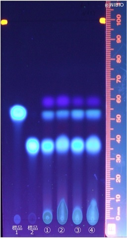 http://mpdb.nibiohn.go.jp/CONTENTS_ROOT/JP_IDENTIFICATION_PHOTO_DATA/JP_IDENTIFICATION_PHOTO_FILE/thumbnail/152.jpg