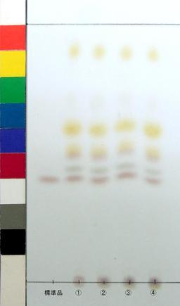 http://mpdb.nibiohn.go.jp/CONTENTS_ROOT/JP_IDENTIFICATION_PHOTO_DATA/JP_IDENTIFICATION_PHOTO_FILE/thumbnail/1036.jpg