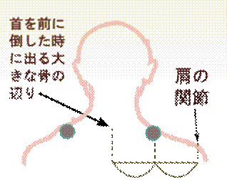 width=