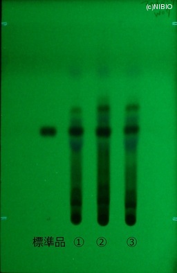 http://mpdb.nibiohn.go.jp/CONTENTS_ROOT/JP_IDENTIFICATION_PHOTO_DATA/JP_IDENTIFICATION_PHOTO_FILE/thumbnail/349.jpg