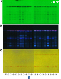 http://mpdb.nibiohn.go.jp/CONTENTS_ROOT/TLC_DATA/TLC_FIG_FILE/thumbnail/788.jpg