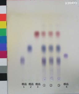 http://mpdb.nibiohn.go.jp/CONTENTS_ROOT/JP_IDENTIFICATION_PHOTO_DATA/JP_IDENTIFICATION_PHOTO_FILE/thumbnail/340.jpg
