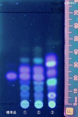 http://mpdb.nibiohn.go.jp/CONTENTS_ROOT/JP_IDENTIFICATION_PHOTO_DATA/JP_IDENTIFICATION_PHOTO_FILE/thumbnail/813.jpg