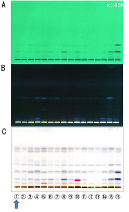 http://mpdb.nibiohn.go.jp/CONTENTS_ROOT/TLC_DATA/TLC_FIG_FILE/thumbnail/737.jpg