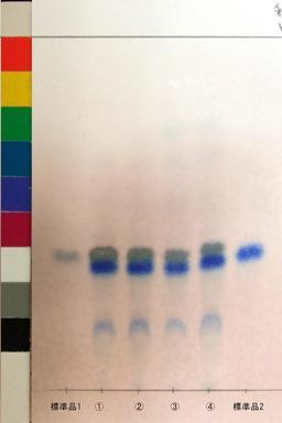 http://mpdb.nibiohn.go.jp/CONTENTS_ROOT/JP_IDENTIFICATION_PHOTO_DATA/JP_IDENTIFICATION_PHOTO_FILE/thumbnail/994.jpg
