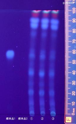 http://mpdb.nibiohn.go.jp/CONTENTS_ROOT/JP_IDENTIFICATION_PHOTO_DATA/JP_IDENTIFICATION_PHOTO_FILE/thumbnail/910.jpg